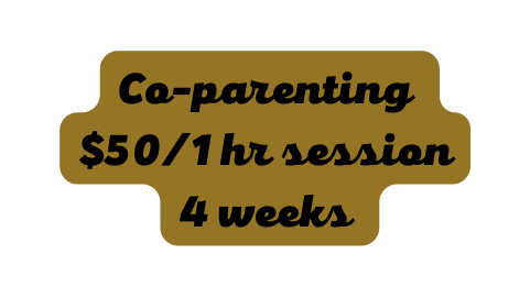 Co parenting 50 1 hr session 4 weeks